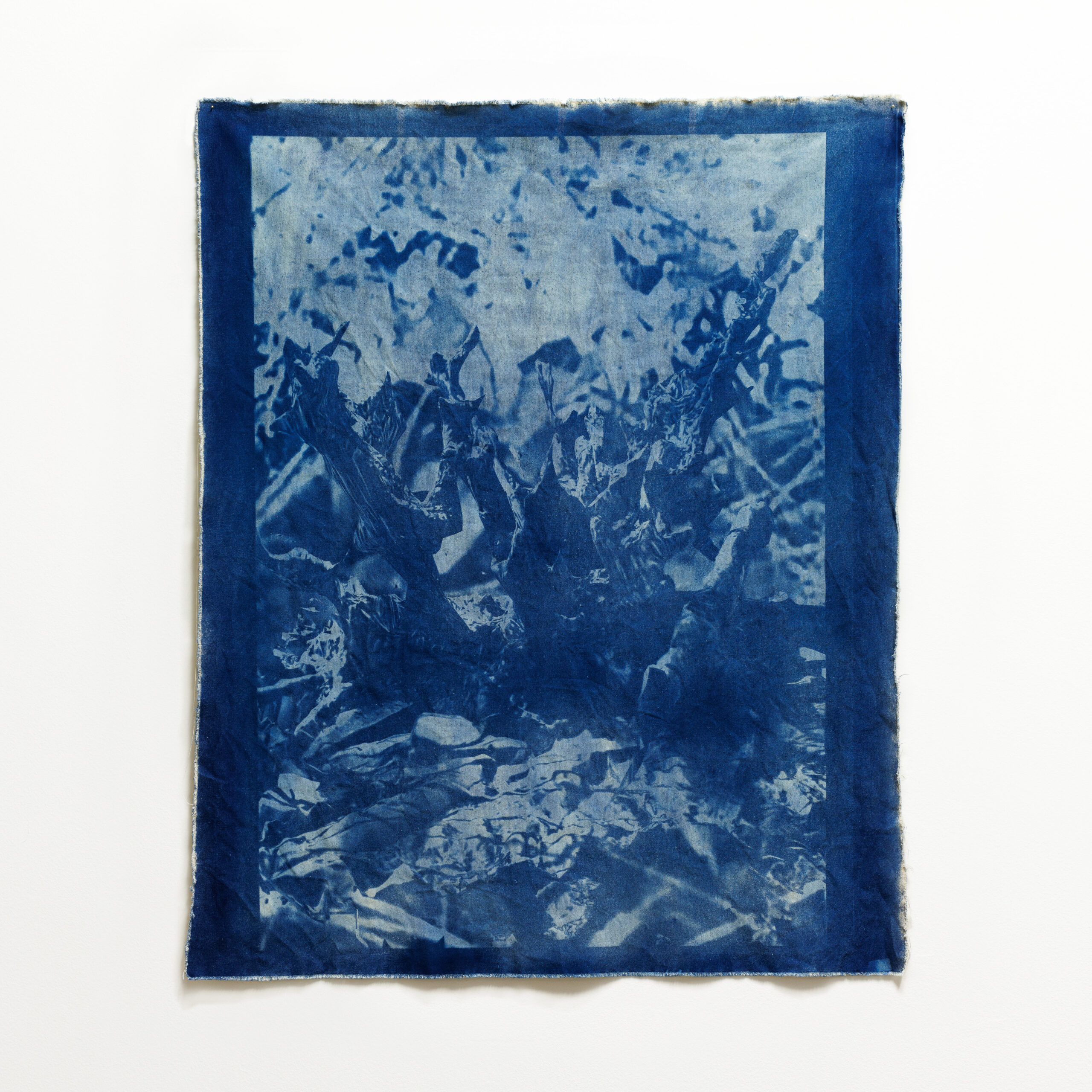 The-Patch-Ruby-Red-Saltbush-Cyanotype-on-canvas-96-x-67-cm-square-edit-small